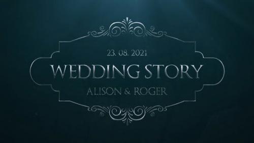 Videohive - Silver Wedding Titles - 31825661
