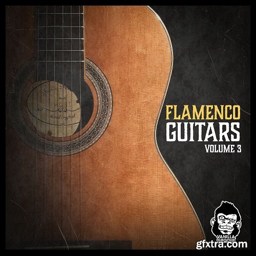 Vanilla Groove Studios Flamenco Guitars Vol 3 WAV