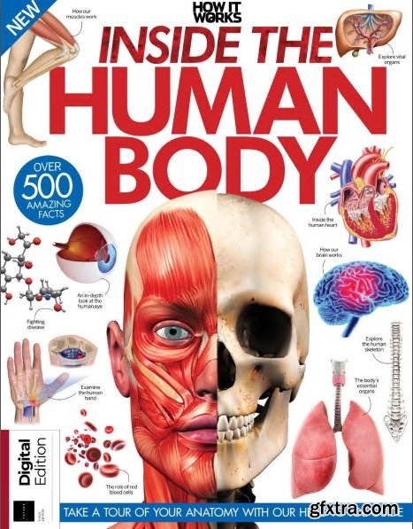 How It Works: Inside the Human Body 3rd Edition