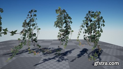 Ivy Foliage Pack 4K
