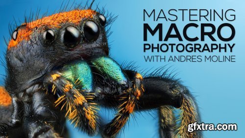 Fstoppers - Mastering Macro Photography - The Complete Shooting and Editing Tutorial - Andres Moline