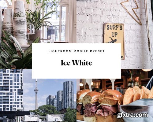 CreativeMarket - Ice White Mobile Lightroom Preset 4494287