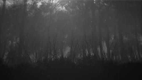 Videohive - Mystical horror background with dark blue forest and fog - 32275886
