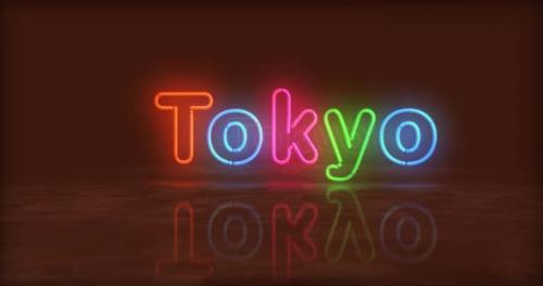Videohive - Tokyo neon symbol looped 3d flight between - 32289627