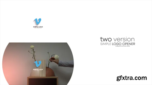 Videohive Simple 3d Logo 32175945