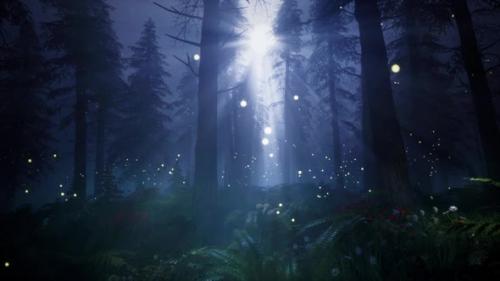 Videohive - Moonlight in a magical forest HD - 32321256