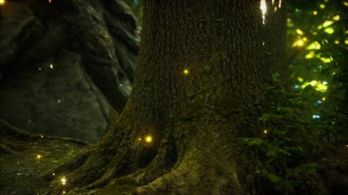 Videohive - Fantasy Firefly Lights in the Magical Forest - 32339289