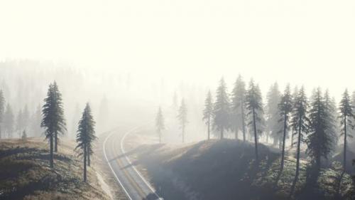 Videohive - Road Through the Russian Taiga Forest From Aerial View - 32339354