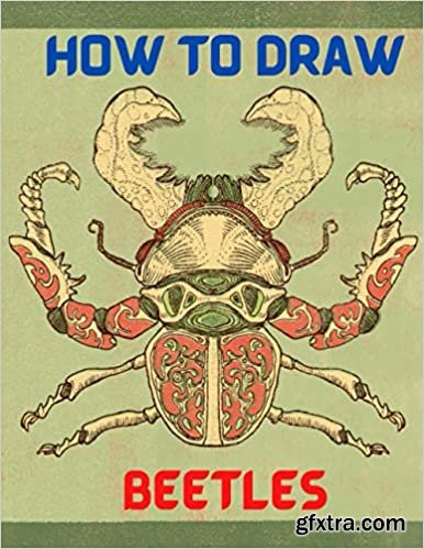 How To Draw Beetles