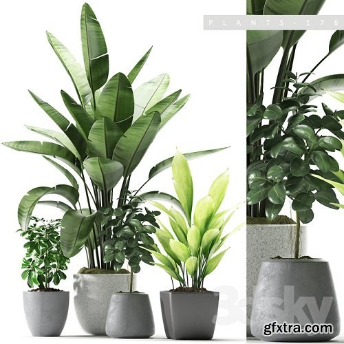 Plants 176 3D Models