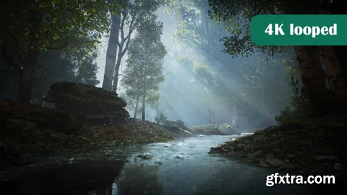 Videohive Calm River in Forest 28284609