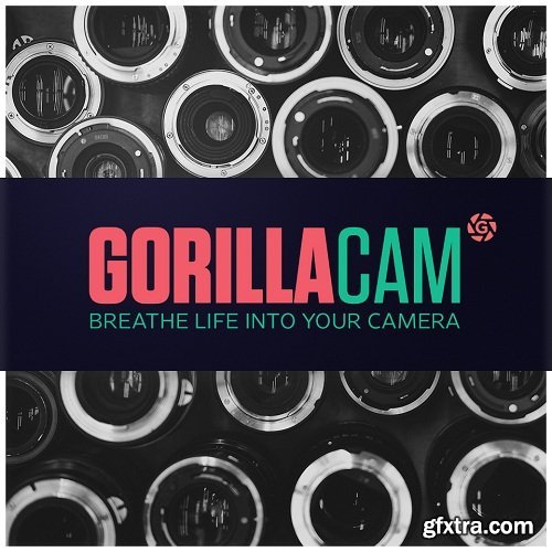 GreyscaleGorilla - GorillaCam for Cinema 4D