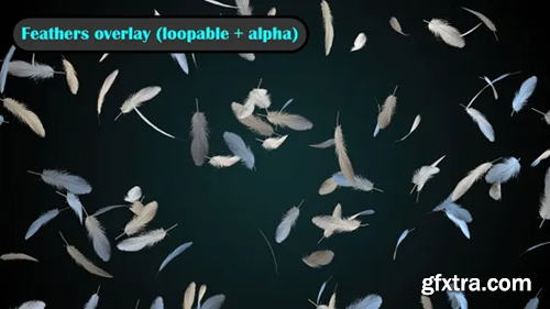 Videohive Feathers Falling Overlay loopable 29564077