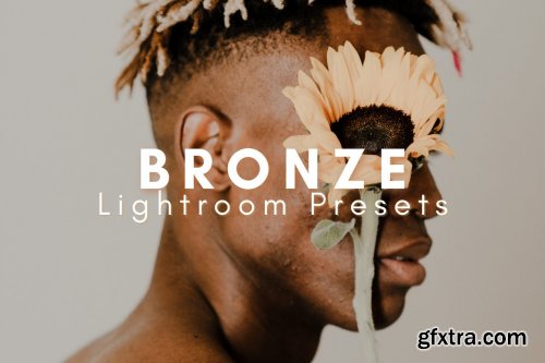 CreativeMarket - Bronze Lightroom Presets Bundle 6016467