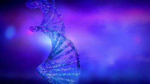 Videohive - Close-Up Of A Fragment Of A DNA Strand 4K - 32385872