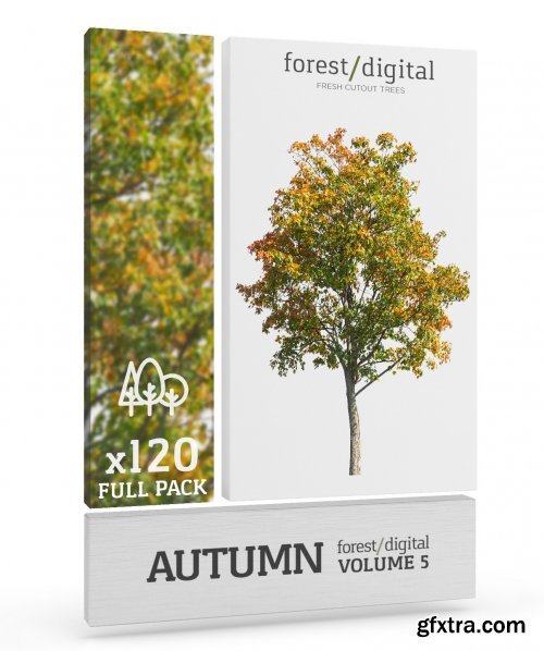 Forest Digital – Autumn Trees Vol. 5 - Cutout Trees