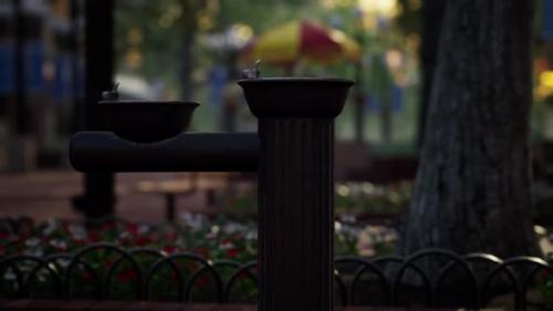 Videohive - Quiet City Park with Trees and Benches - 32496661