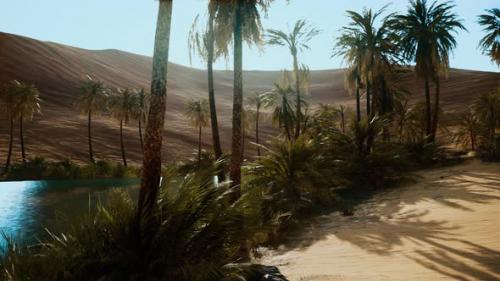 Videohive - Oasis with Palm Trees in Desert - 32496860
