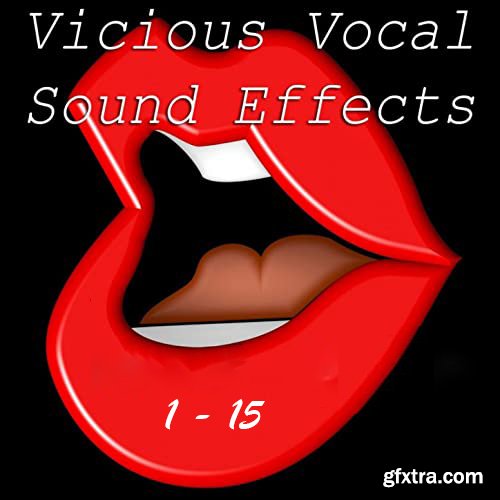 Vicious Vocal Sound Effects 1 - 15 WAV