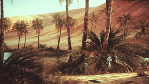 Videohive - Oasis in Hot Sahara Desert - 32550355