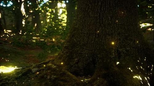 Videohive - Fantasy Firefly Lights in the Magical Forest - 32550818