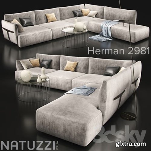 Sofa Natuzzi Herman 2981