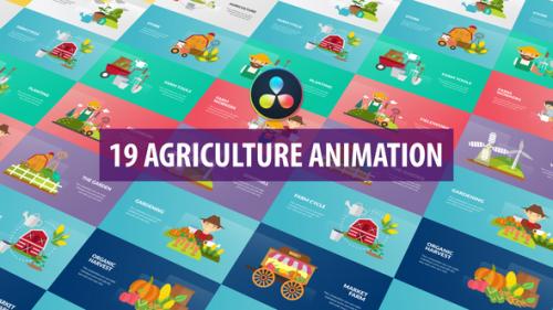 Videohive - Agriculture Animation | DaVinci Resolve - 32589197