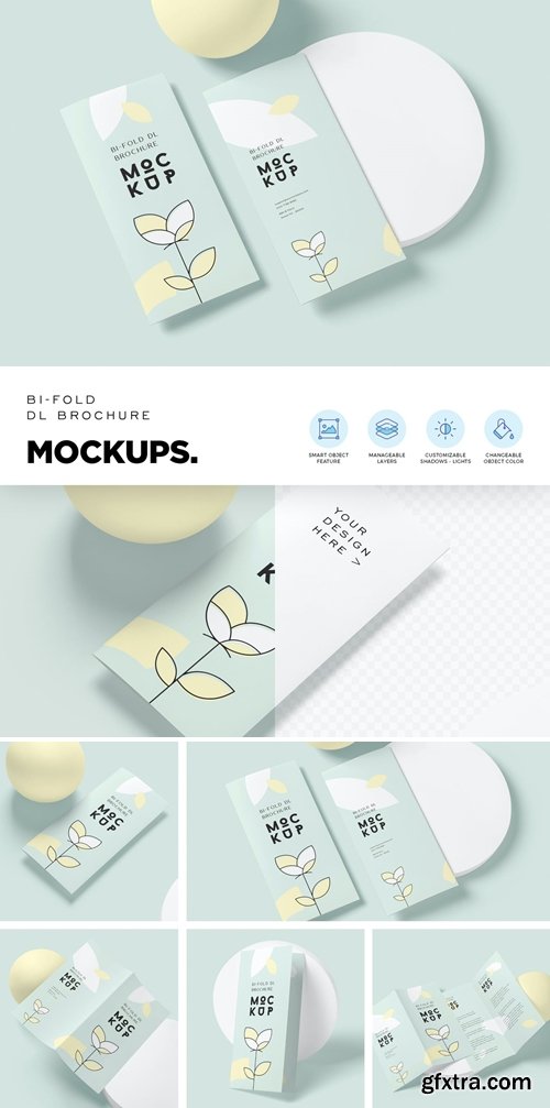 2 Fold DL Size Brochure Mockups
