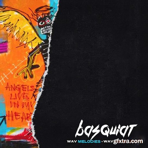 Canary Julz Basquiat (Loop Pack) WAV