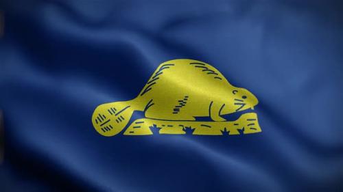 Videohive - Oregon State Flag Back - 32677841