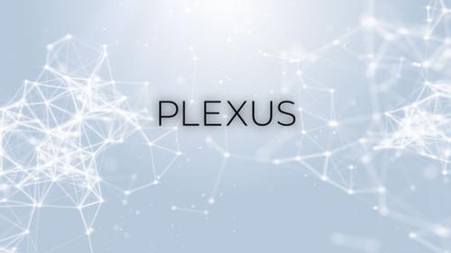 Videohive - Plexus Background - 32696083