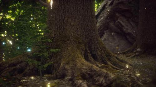 Videohive - Fantasy Firefly Lights in the Magical Forest - 32700870