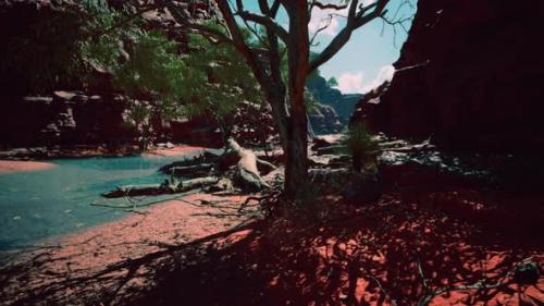 Videohive - Trees Near Colorado River in Grand Canyon - 32701460