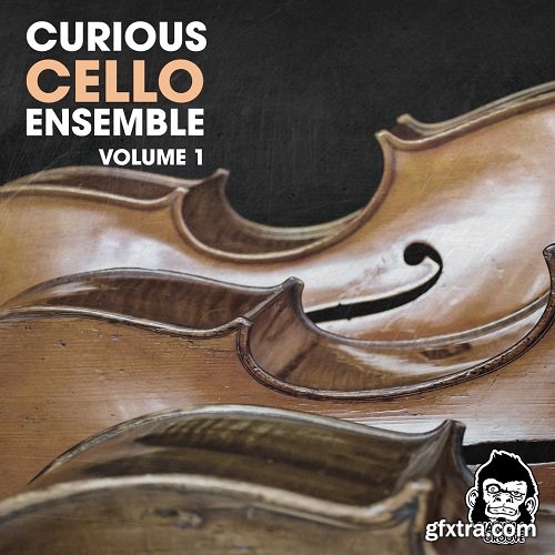 Vanilla Groove Studios Curious Cello Ensemble Vol 1 WAV