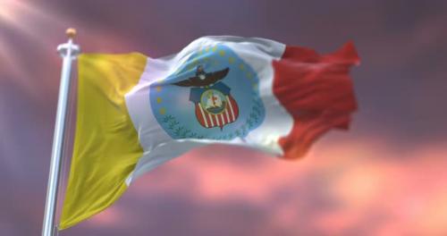 Videohive - Flag of Columbus City at Sunset - 32891711