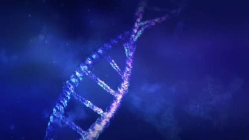 Videohive - Animation Of DNA Strand In Abstract Space 4K - 32893511