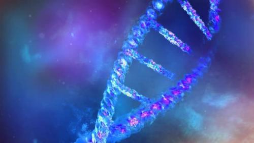 Videohive - A Section Of A DNA Strand Close-Up HD - 32893516