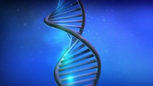 Videohive - The DNA Strand Model Rotates In Close-Up 4K - 32893517