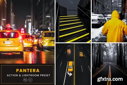 Pantera Photoshop Action & Lightrom
