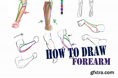 How to Draw - Forearms