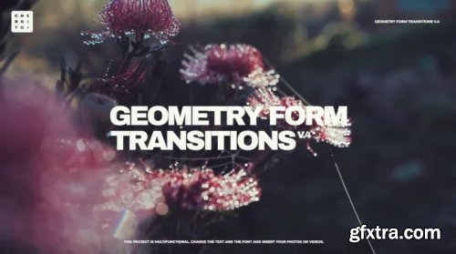 Geometry Form Transitions V.4 897955