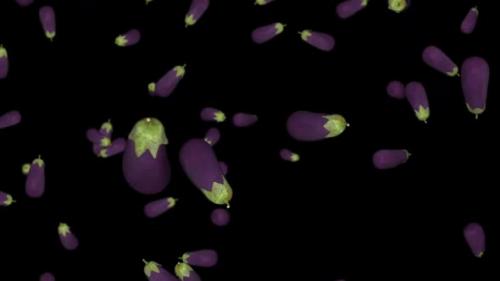 Videohive - Animation of falling eggplant on a black background - 32930754