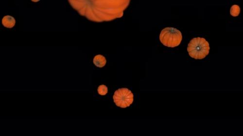 Videohive - 3D pumpkins fall on black background - 32992046