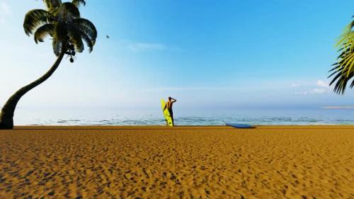 Videohive - Sea View and Beach Surfer - 33030369