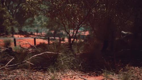 Videohive - Red Sand Bush with Trees - 32990610