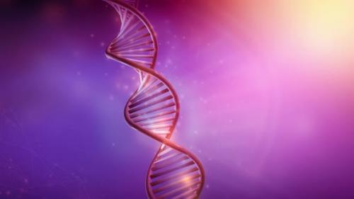 Videohive - Colorful Animation Of DNA Rotation 4K - 33077992