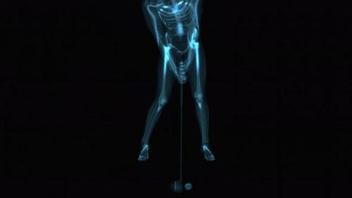 Videohive - 4K anatomy concept of a golf shot - 33095139