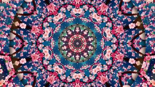 Videohive - Cherry Blossom Kaleidoscope - 33055218