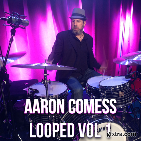 The Loop Loft Aaron Comess Looped Vol 1 MULTiFORMAT