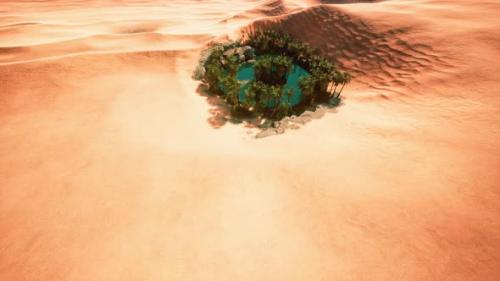Videohive - Top Down Aerial View of Oasis in Desert - 33259804